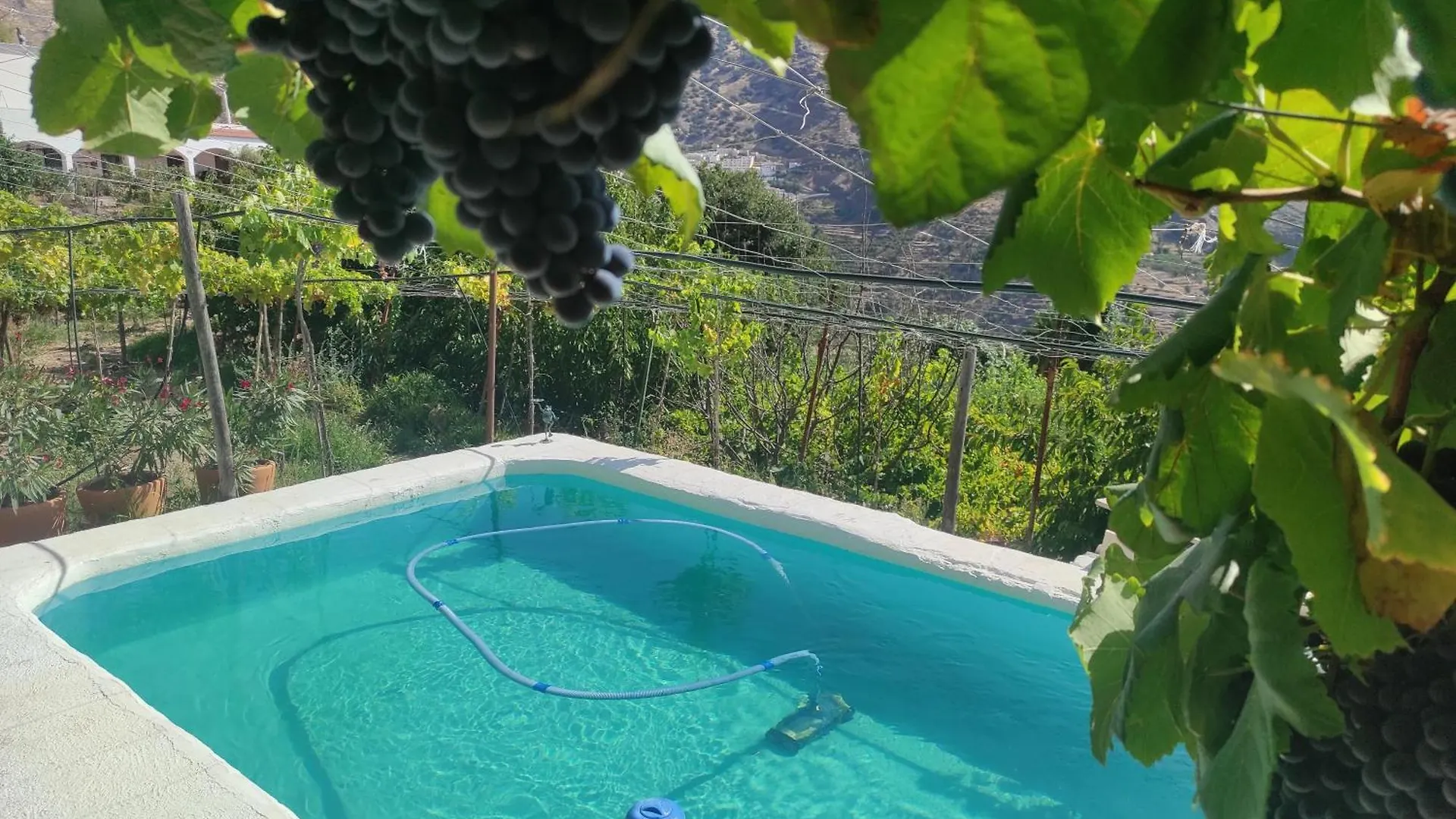 Casa Rural Para 4 Personas En Ohanes - El Cortijo Escondido, La Uva 0*,