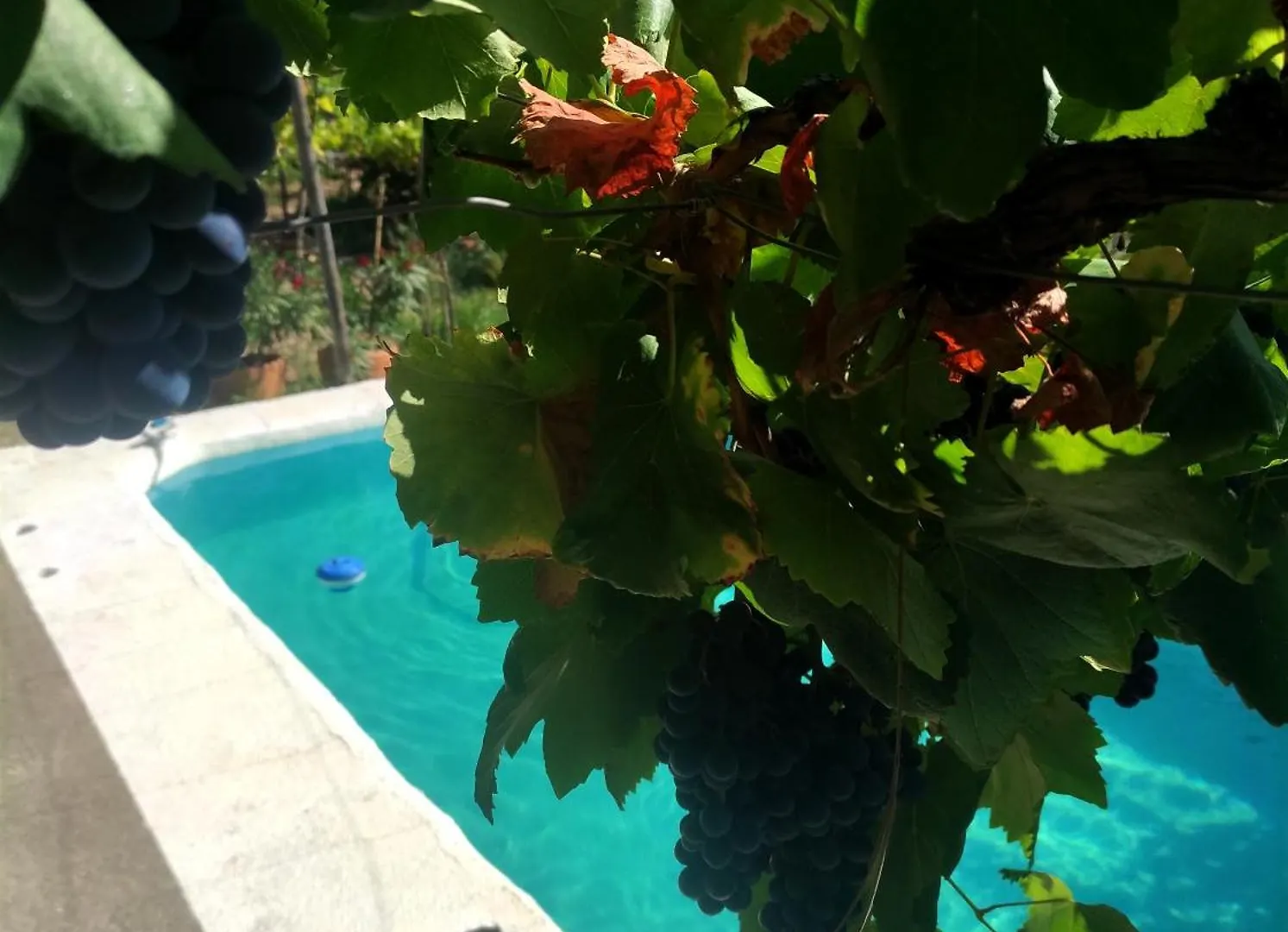 Bed & Breakfast Casa Rural Para 4 Personas En Ohanes - El Cortijo Escondido, La Uva Spain