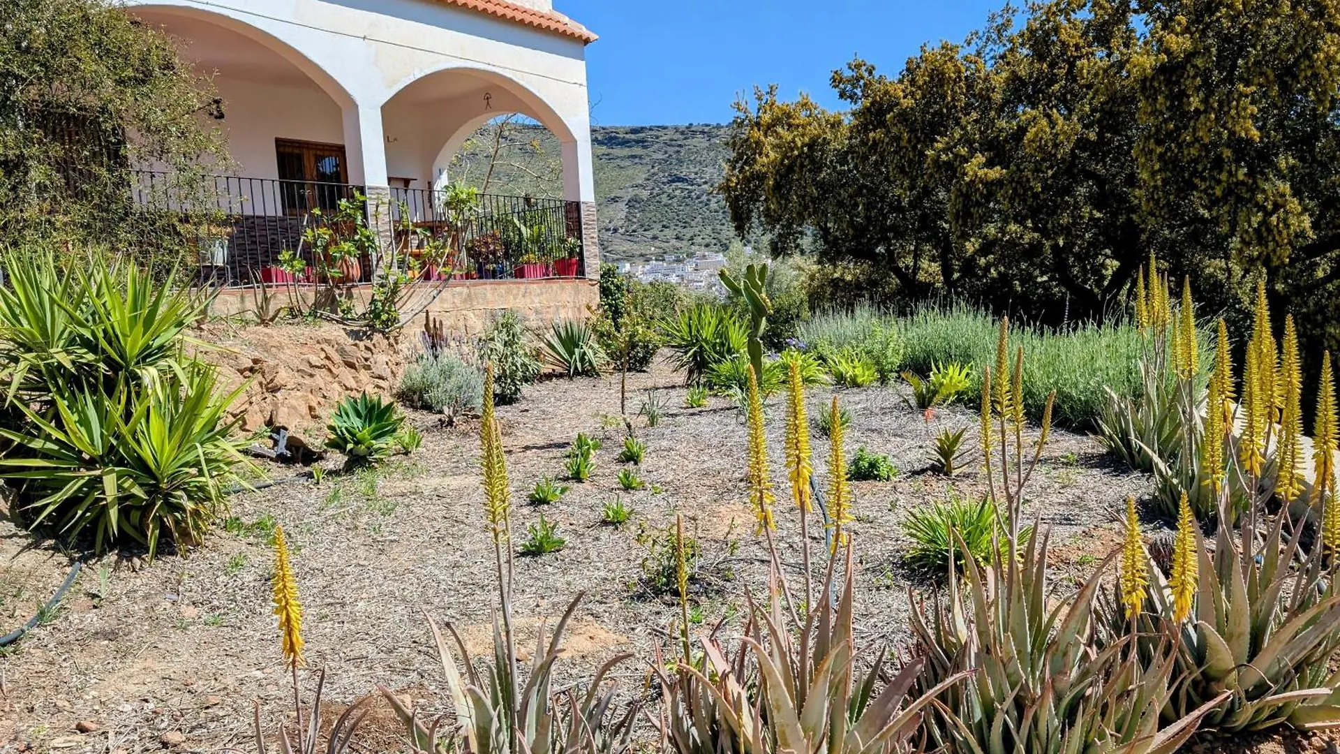 Bed & Breakfast Casa Rural Para 4 Personas En Ohanes - El Cortijo Escondido, La Uva Spain