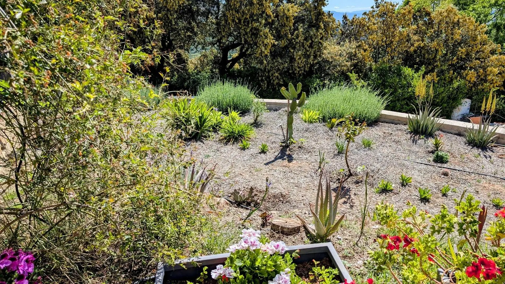 Casa Rural Para 4 Personas En Ohanes - El Cortijo Escondido, La Uva Bed & Breakfast