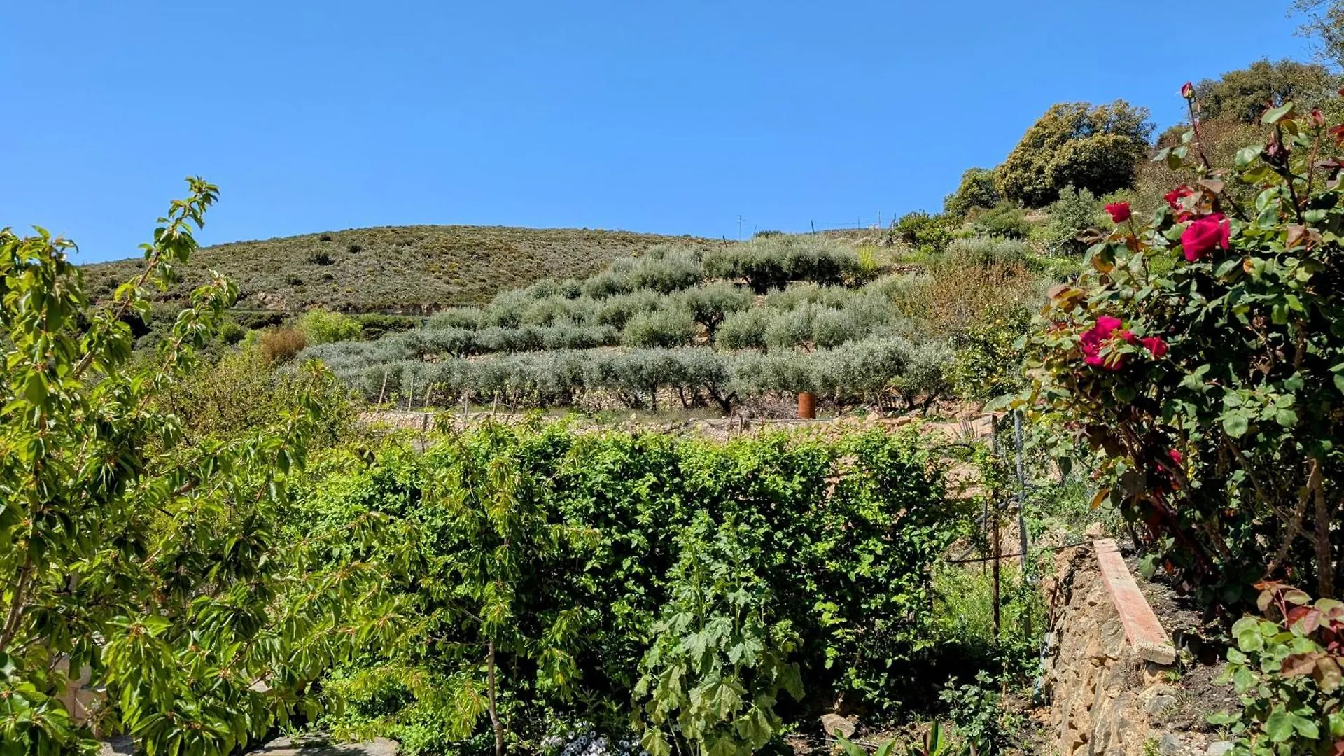 Bed & Breakfast Casa Rural Para 4 Personas En Ohanes - El Cortijo Escondido, La Uva Spanien