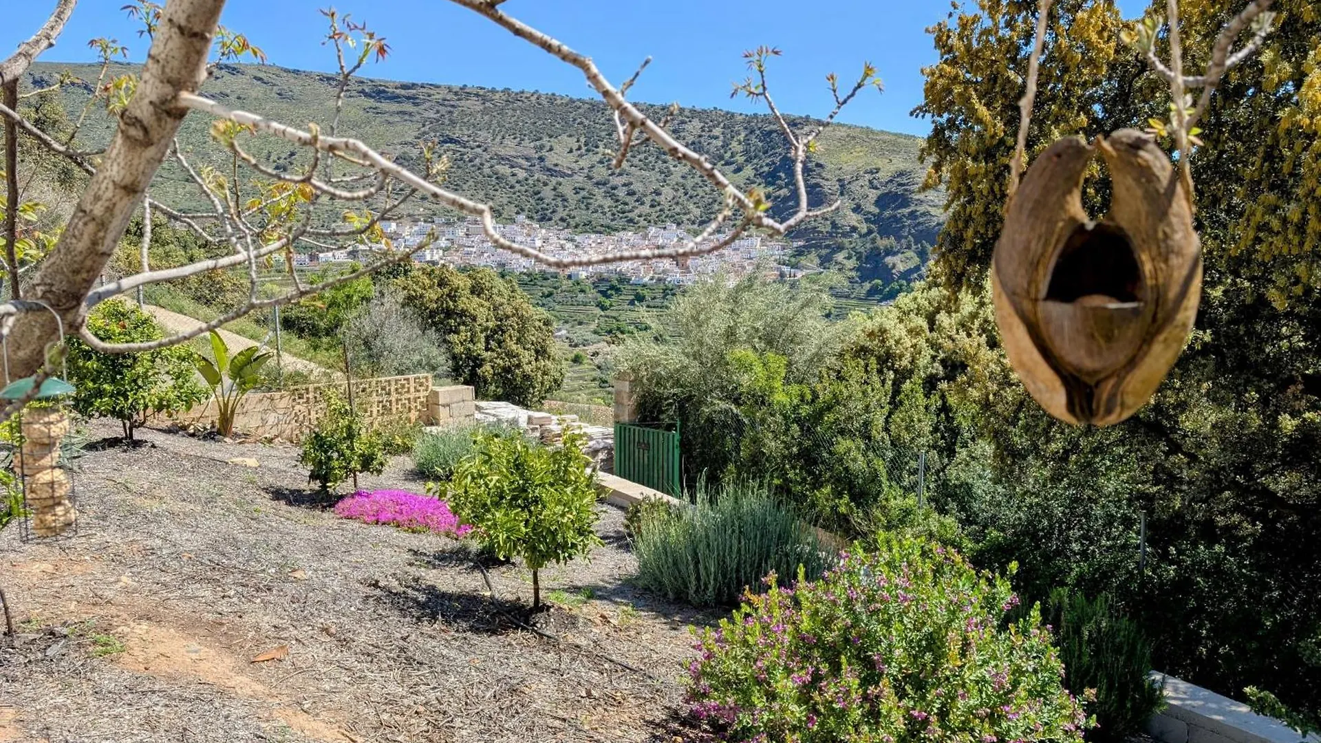 Casa Rural Para 4 Personas En Ohanes - El Cortijo Escondido, La Uva Bed & Breakfast