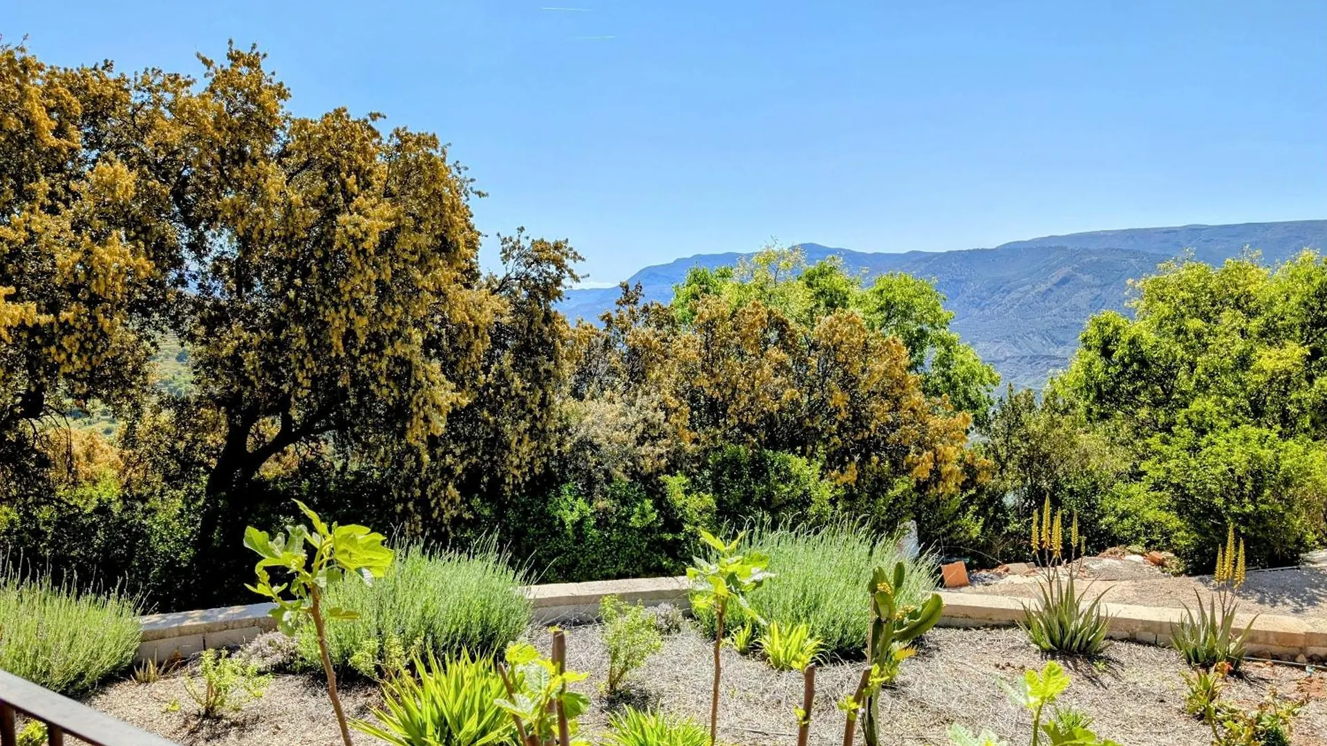 Casa Rural Para 4 Personas En Ohanes - El Cortijo Escondido, La Uva Bed & Breakfast