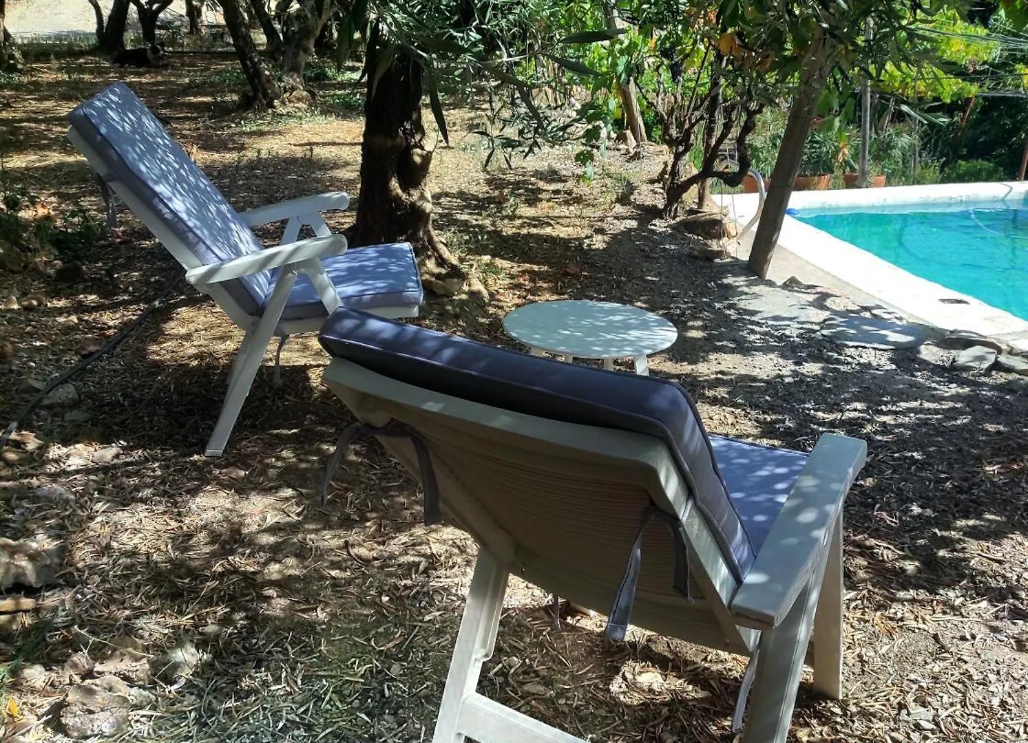 Bed & Breakfast Casa Rural Para 4 Personas En Ohanes - El Cortijo Escondido, La Uva