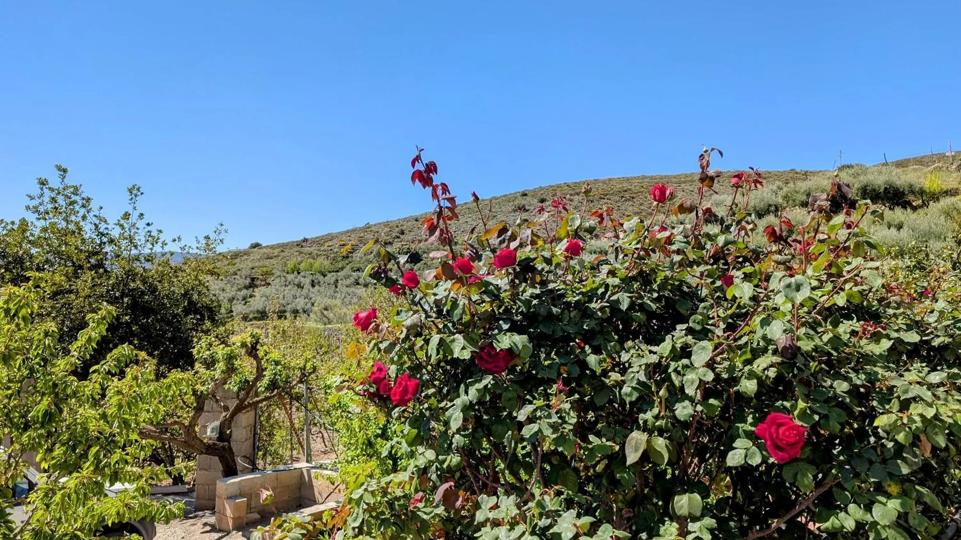 Casa Rural Para 4 Personas En Ohanes - El Cortijo Escondido, La Uva Bed & Breakfast